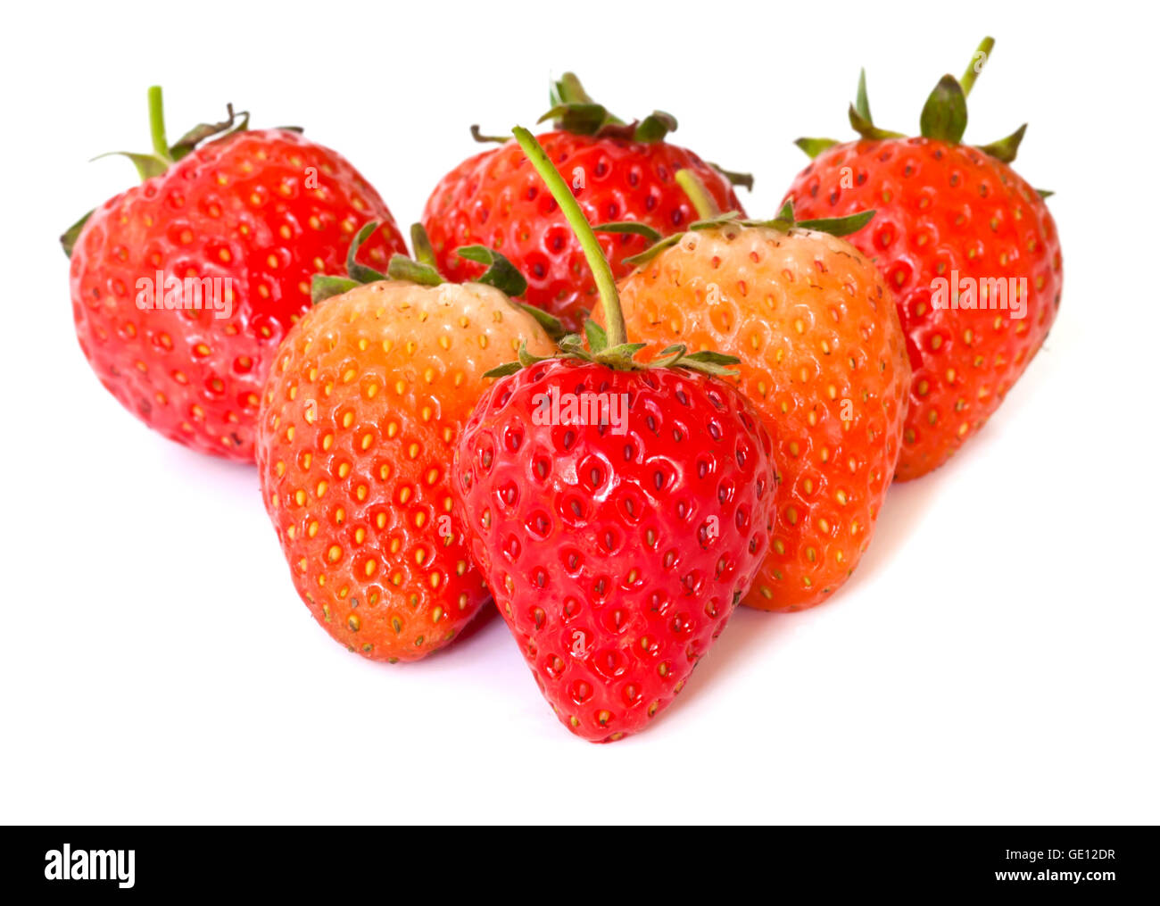 rote reife Erdbeeren auf weißem Hintergrund isoliert Stockfoto
