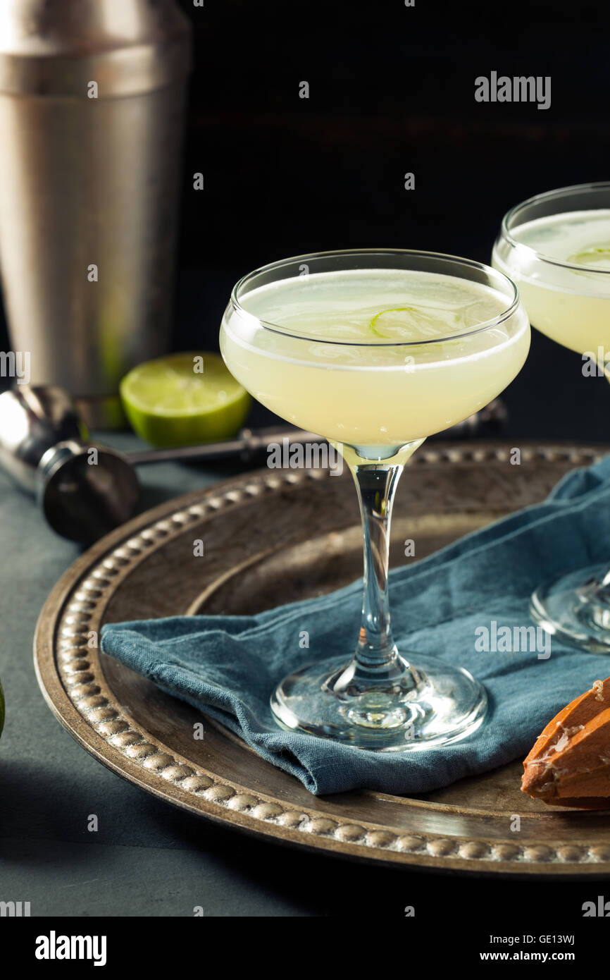 Alkoholische Kalk und Gin Gimlet mit Garnierung Stockfoto