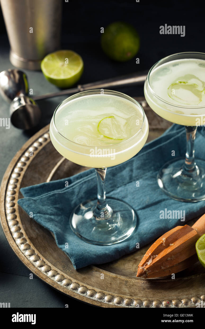 Alkoholische Kalk und Gin Gimlet mit Garnierung Stockfoto