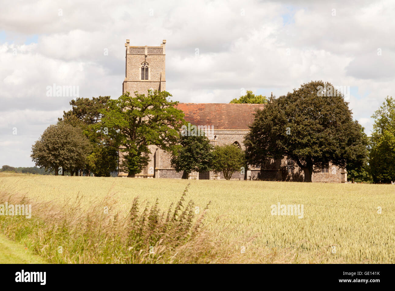 Kirche der Hl. Maria, Markt Weston Dorf Suffolk England UK Stockfoto