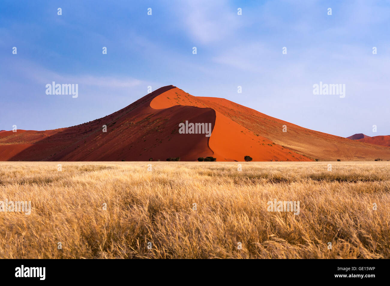 Blick auf die roten Dünen im Sossusvlei, Namibia, Afrika Stockfoto