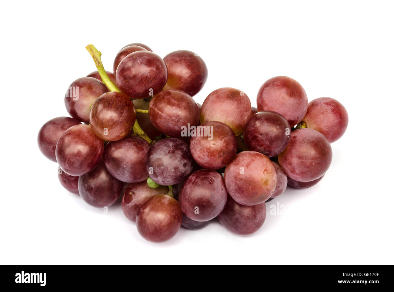 Frische rote Trauben isoliert auf weißem Backgroung. Stockfoto