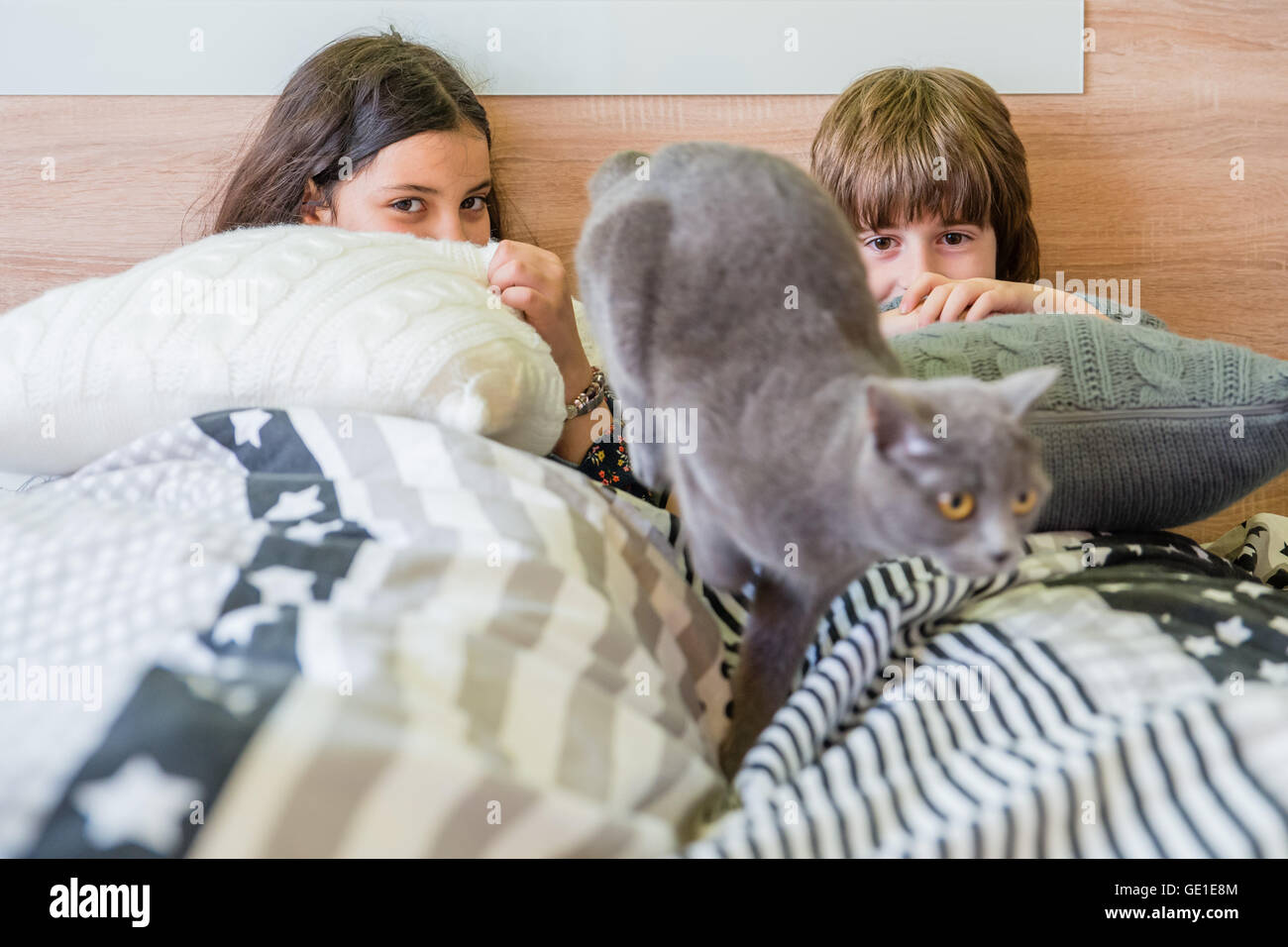 Jungen und Mädchen sitzen im Bett versteckt unter abdeckt Stockfoto