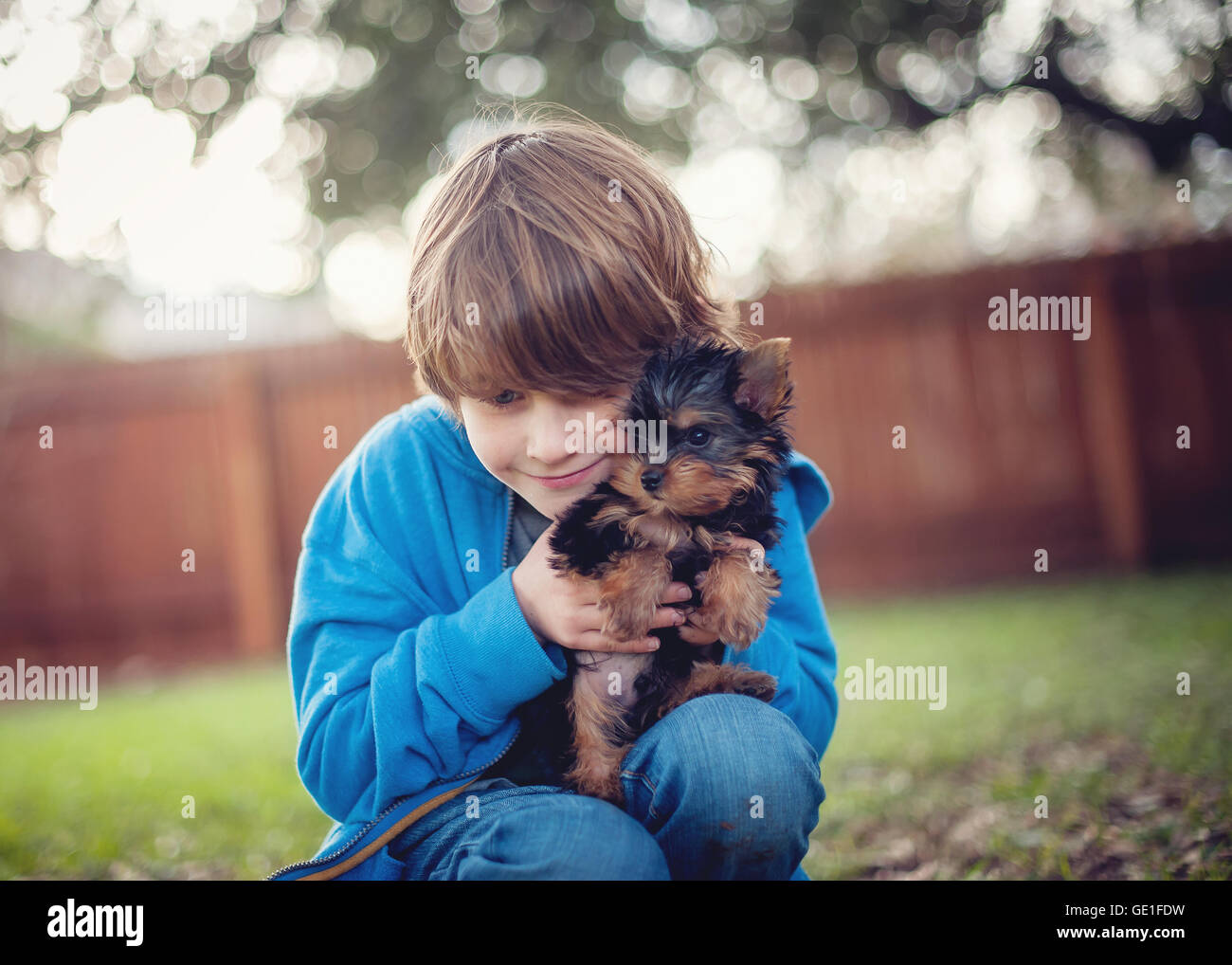 Junge seine Yorkie Welpen Hund kuscheln Stockfoto