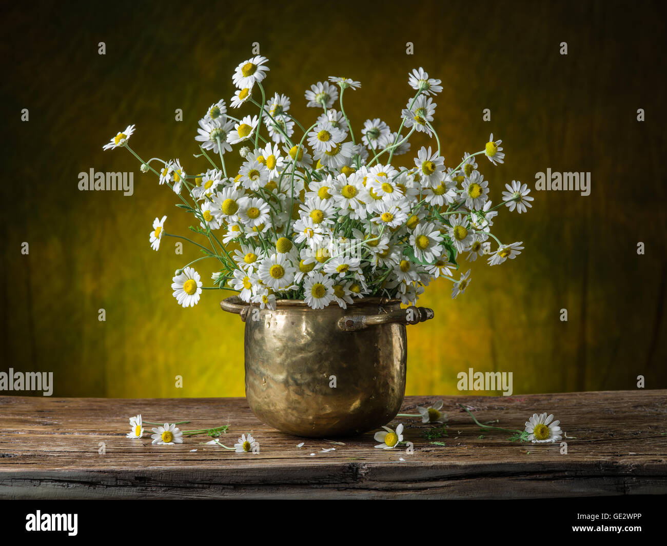 Bouquet von Feld-Kamille in der Vase auf dem Holztisch. Stockfoto