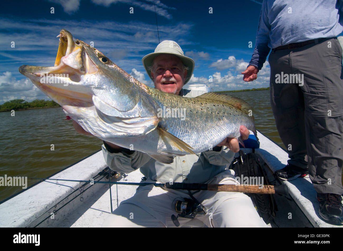 Großen Gator "Forellen sind oft gefangen in Floridas Moskito Lagune in der Nähe von New Smyrna Beach an der Ostküste. Stockfoto