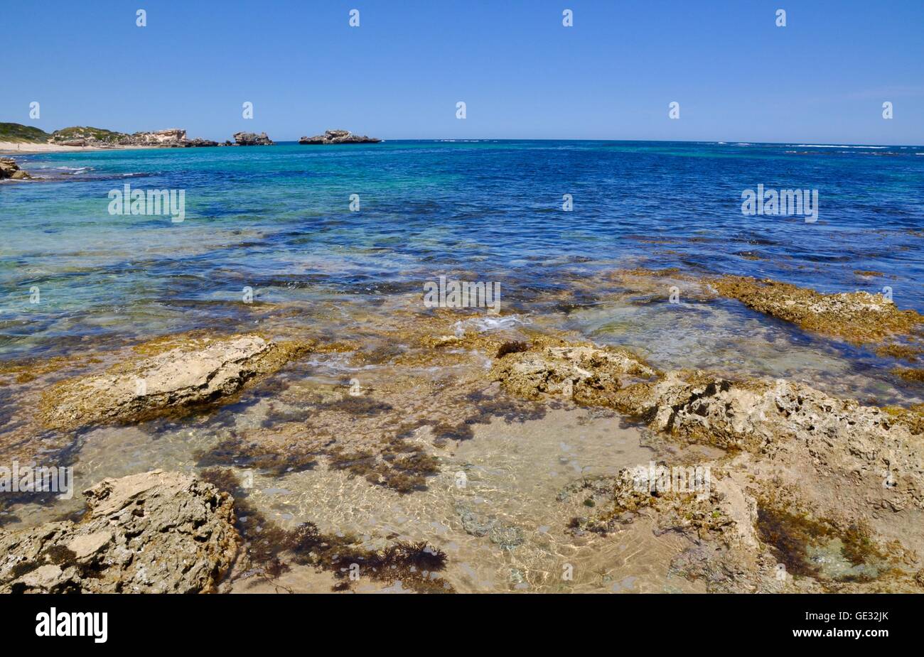 Strand-Riff mit Kalkfelsen und Unterwasser Vegetation am Punkt Peron mit dem indischen Ozean Seelandschaft in Western Australia. Stockfoto
