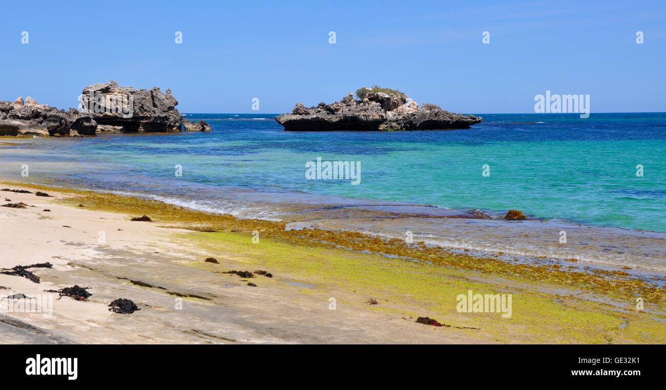 Hellen Algen am Strand Punkt Peron mit Kalkstein Outcroppings und den Indischen Ozean Seelandschaft in Western Australia. Stockfoto