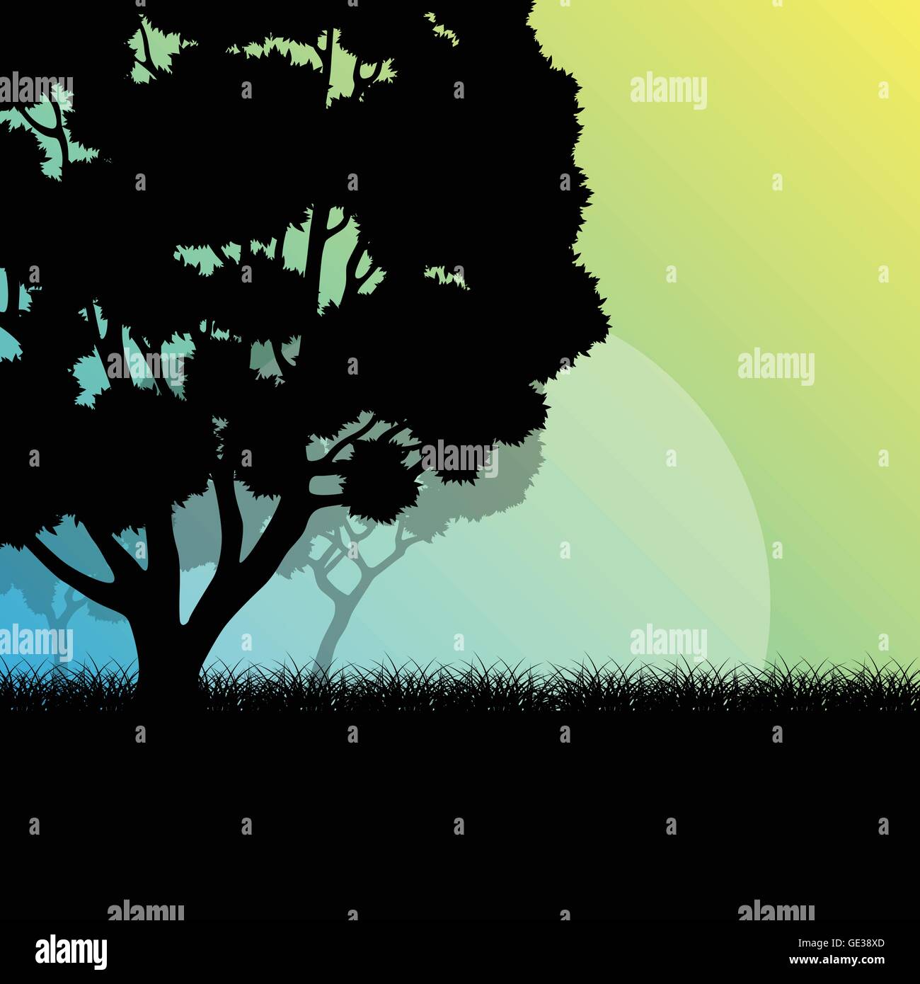Waldbäume Landschaft Sonnenaufgang Vektor Hintergrund Illustration Geheimnis Konzept Stock Vektor