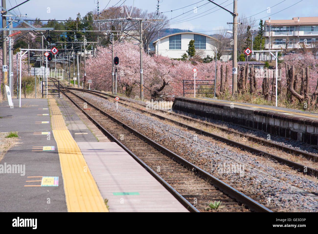 Japan Railway Station and Kirschblüten mit Foto-filter Stockfoto