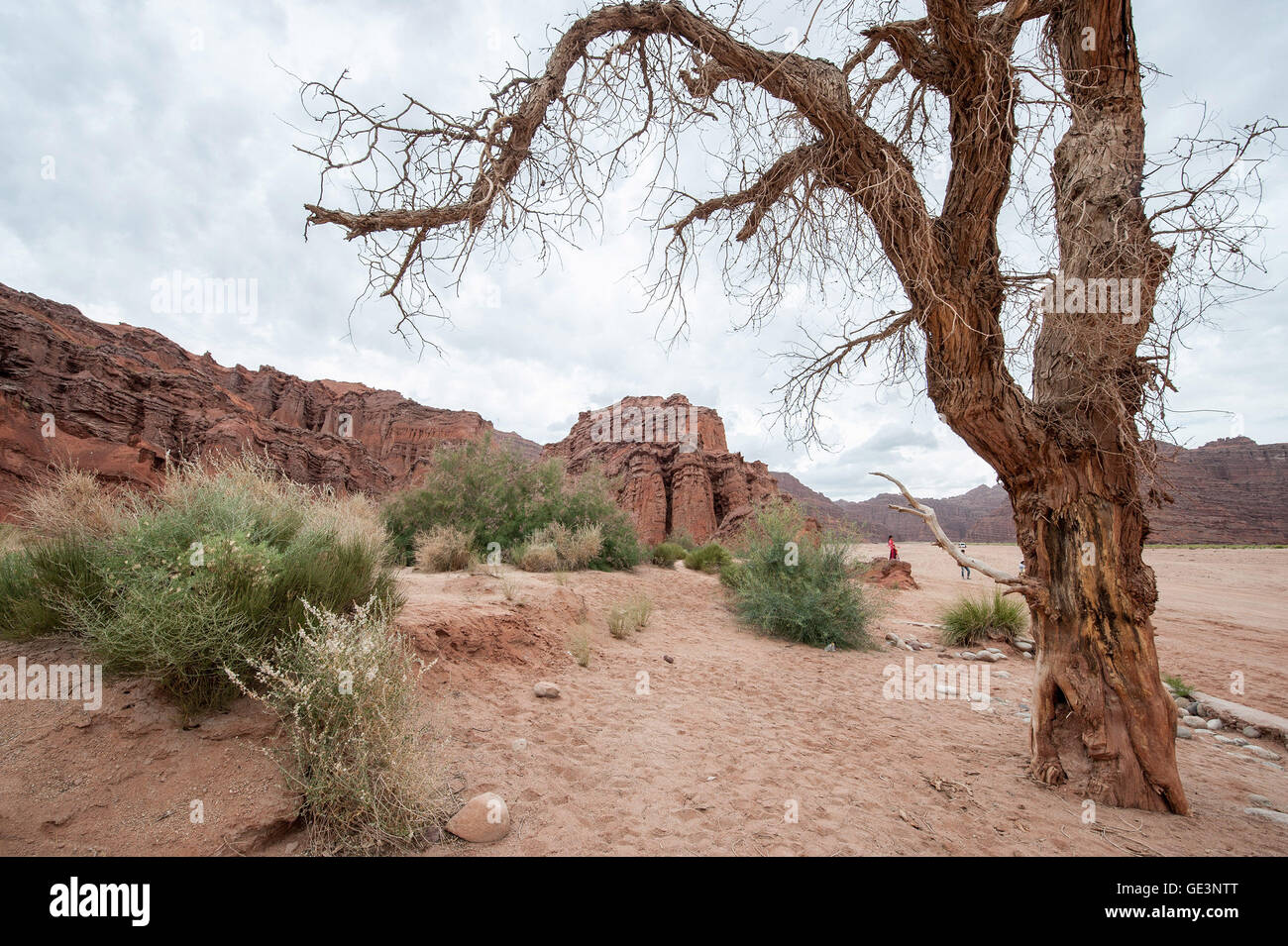 Aksu. 22. Juli 2016. Foto am 22. Juli 2016 zeigt Landschaften von Tomur Grand Canyon in Wensu County von Aksu Präfektur, Nordwesten Chinas Xinjiang Uygur Autonome Region. Tomur Grand Canyon, die verschiedenen Landschaftsformen, wurde als Chinas nationalen geologischen Park aufgeführt. © Liu Yuhe/Xinhua/Alamy Live-Nachrichten Stockfoto