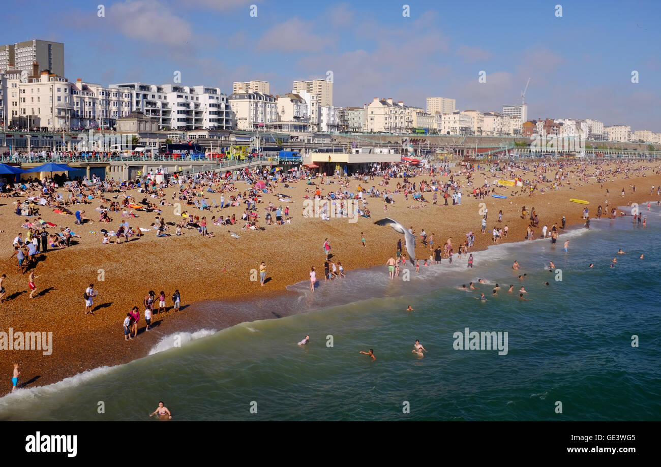 Brighton, Sussex UK 23. Juli 2016 - Tausende strömen zum Strand in Brighton wie die Sonne schließlich nach einem Vormittag der nebligen Wetter Credit kommt: Simon Dack/Alamy Live News Stockfoto