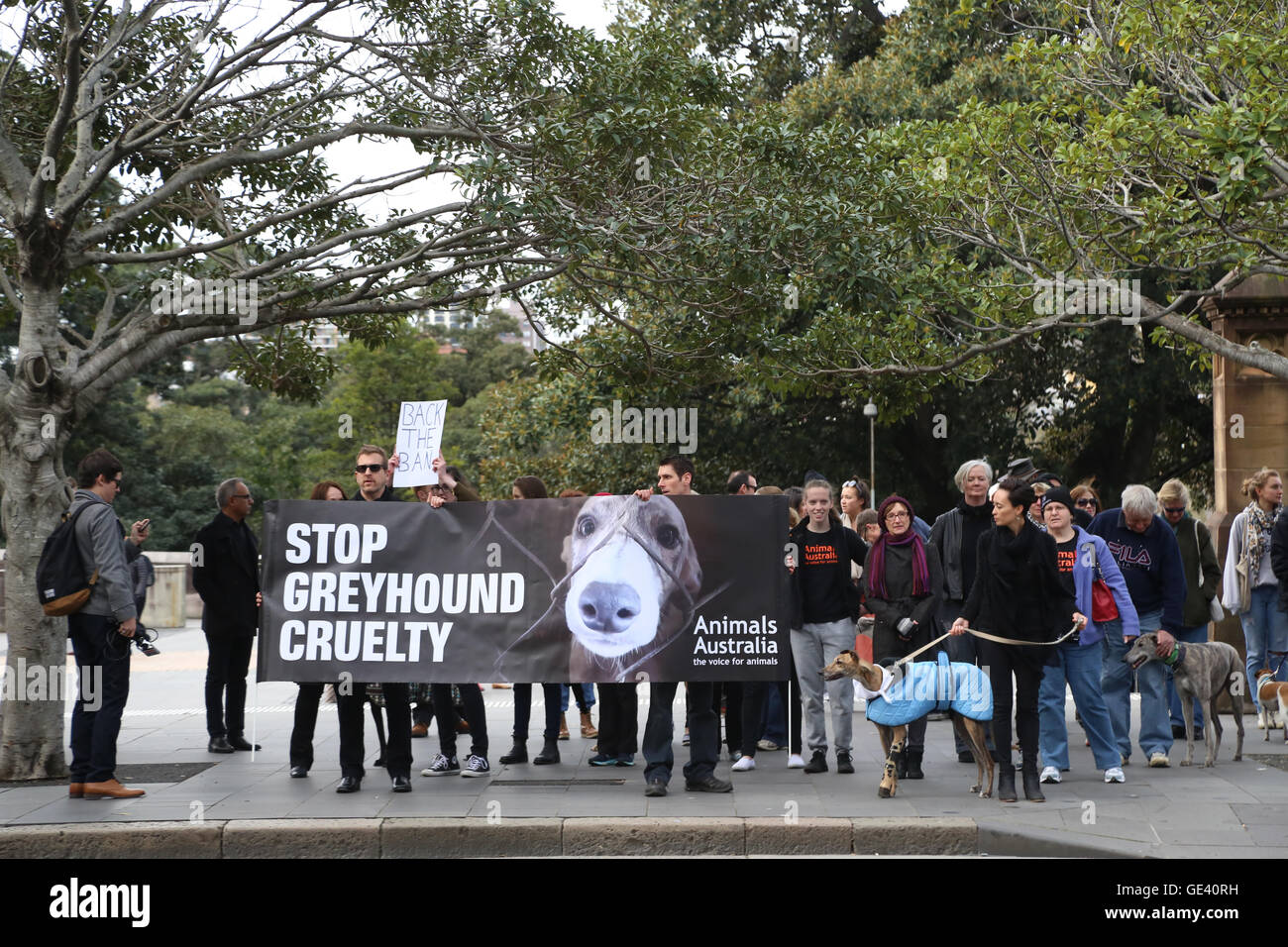 Sydney, Australien. 24. Juli 2016. AGRN NSW (Anti Greyhound Racing Netzwerk NSW) organisierten Proteste landesweit Aufwartung auf Windhunde, die in der Greyhound racing Industrie getötet worden sind. Demonstranten begann im Hyde Park North in der Nähe des Brunnens vor marschieren rund um den nördlichen Teil des Hyde Park. Am Ende des Marsches angegangen Lautsprecher die Demonstranten. Die NSW-Premiere hat vor kurzem gesagt, dass er beabsichtigt, die Greyhound-Industrie nach der Entdeckung verbreitete Grausamkeit zu verbieten. Bildnachweis: Richard Milnes/Alamy Live-Nachrichten Stockfoto