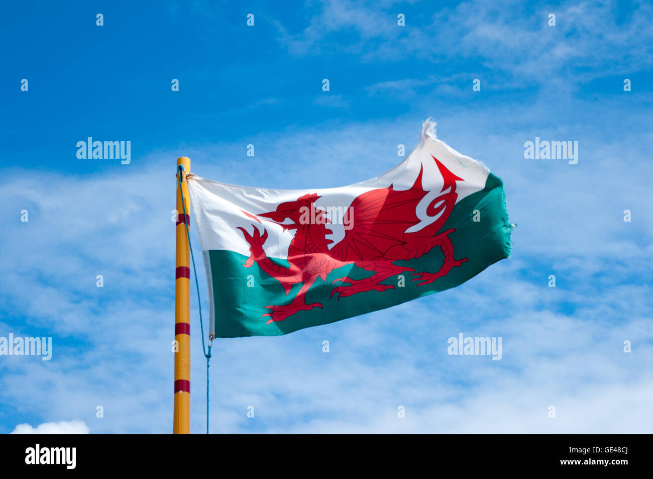 Walisische Flagge zeigt des roten Drache von Wales fliegen in der Sommersonne. Stockfoto