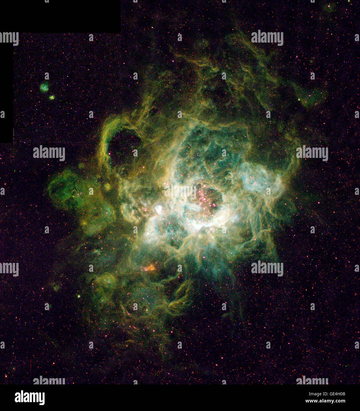 Dies ist eine Hubble Space Telescope Bild einen riesigen Nebel NGC 604, die in die benachbarte Spiralgalaxie M33 liegt, genannt das 2,7 Millionen Lichtjahre entfernt im Sternbild Triangulum liegt. Dies ist ein Ort, wo neue Sterne in einem Spiralarm der Galaxie geboren werden. Obwohl solche Nebel häufig in Galaxien sind, dieser ist besonders groß, fast 1.500 Lichtjahren. Der Nebel ist so groß, dass es leicht in bodengebundenen Teleskop Bilder zu sehen ist. Das Herzstück des NGC 604 sind mehr als 200 heiße Sterne, viel mehr Masse als unsere Sonne (15 bis 60 Sonnenmassen). Sie heizen die gasförmigen Wände des Nebels ma Stockfoto