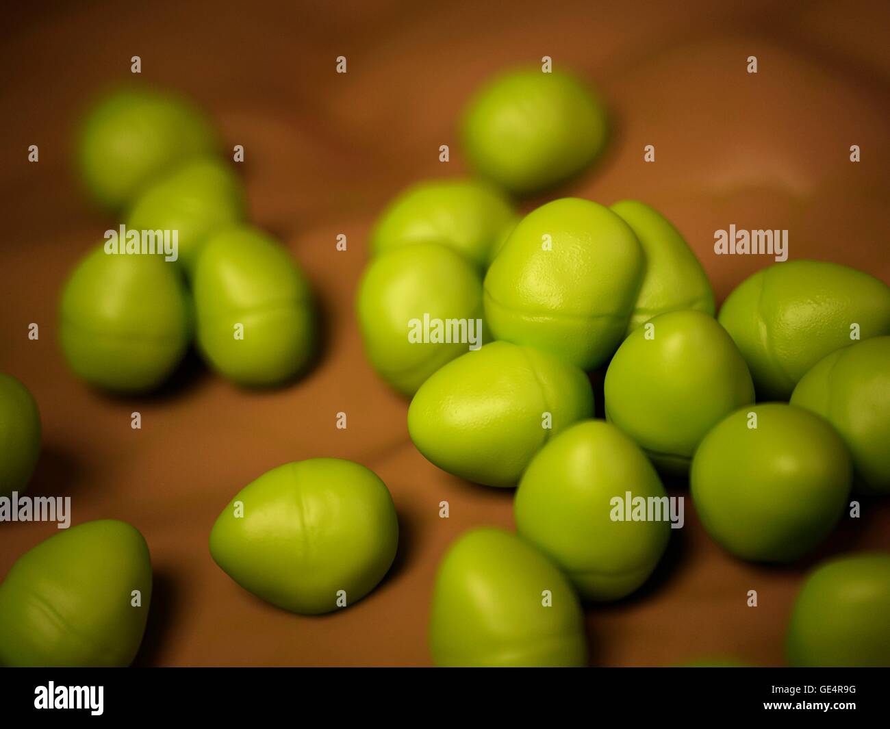 Enterococcus Bakterien, Abbildung. Stockfoto