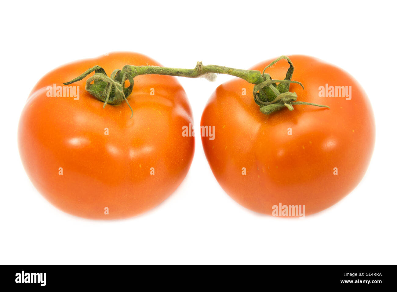 zwei Tomaten mit grünem Stiel auf weißem Hintergrund Stockfoto