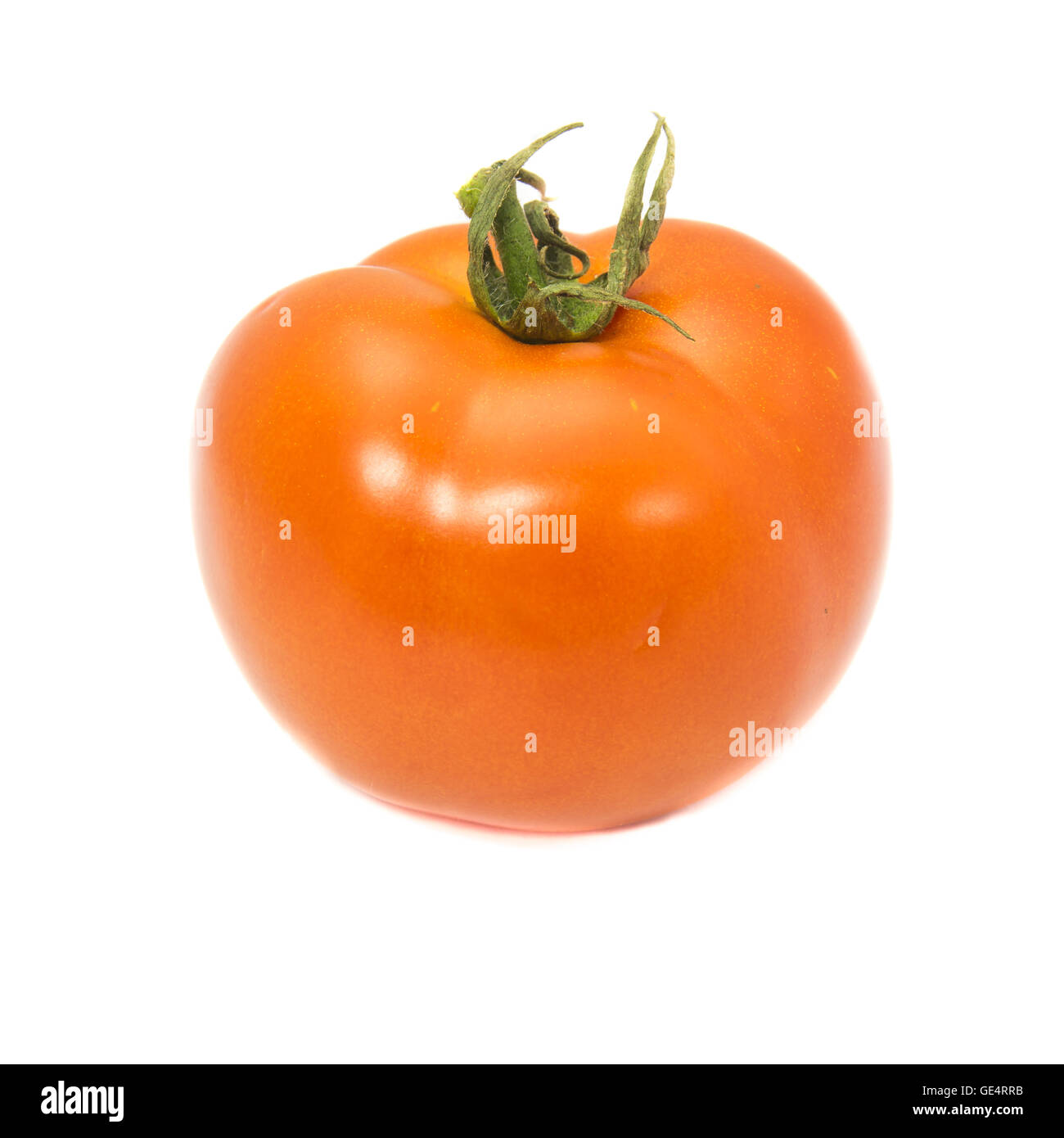 Tomaten mit grünem Stiel auf weißem Hintergrund Stockfoto