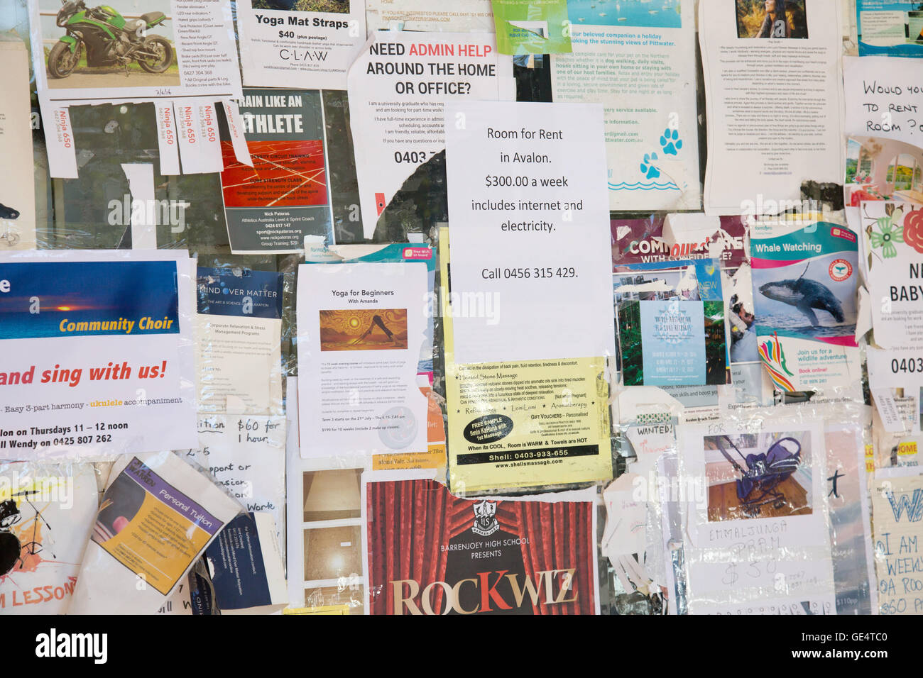 Community Notizboard in Sydney mit Anzeigen und Hinweisen für Dienstleistungen und Verkaufsartikel, New South Wales, Australien Stockfoto