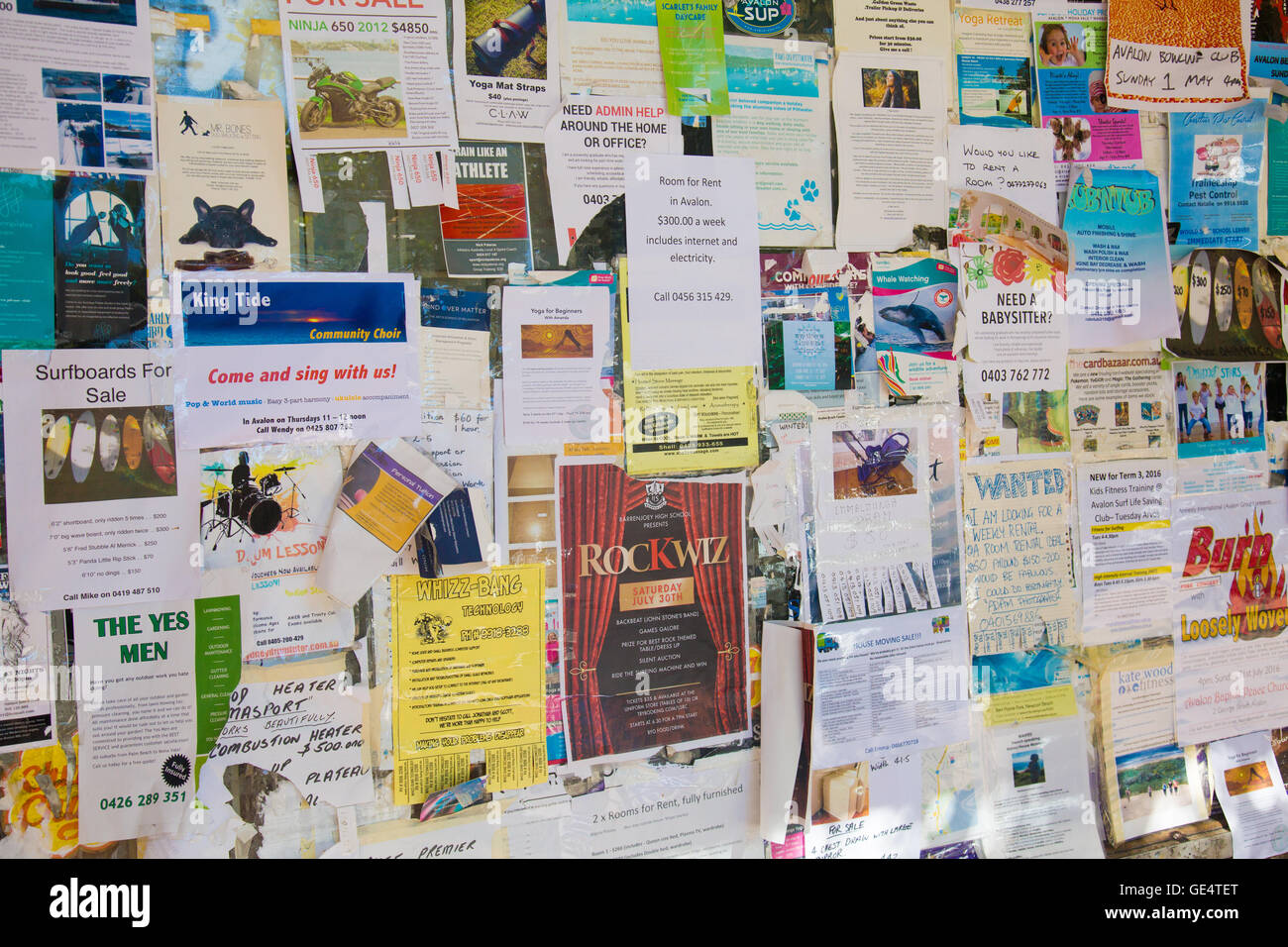 Community Pinnwand in Sydney mit Werbung für Dienstleistungen und Sale-Artikel, Australien Stockfoto