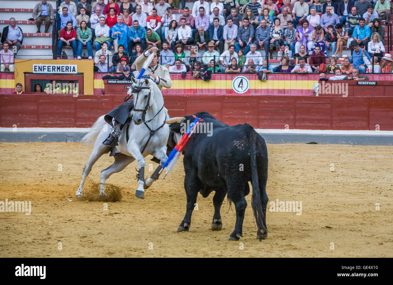 Spanische Stierkämpfer zu Pferd diego Ventura Stierkampf zu Pferde in der Stierkampfarena von Jaen, Spanien Stockfoto