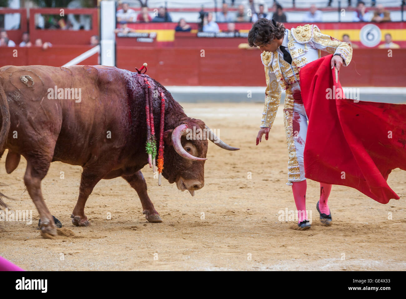Jaen, Spanien - 17. Oktober 2008: Der spanischen Stierkämpfer Curro Diaz Stierkampf mit der Krücke in der Stierkampfarena von Jaen, Spanien Stockfoto