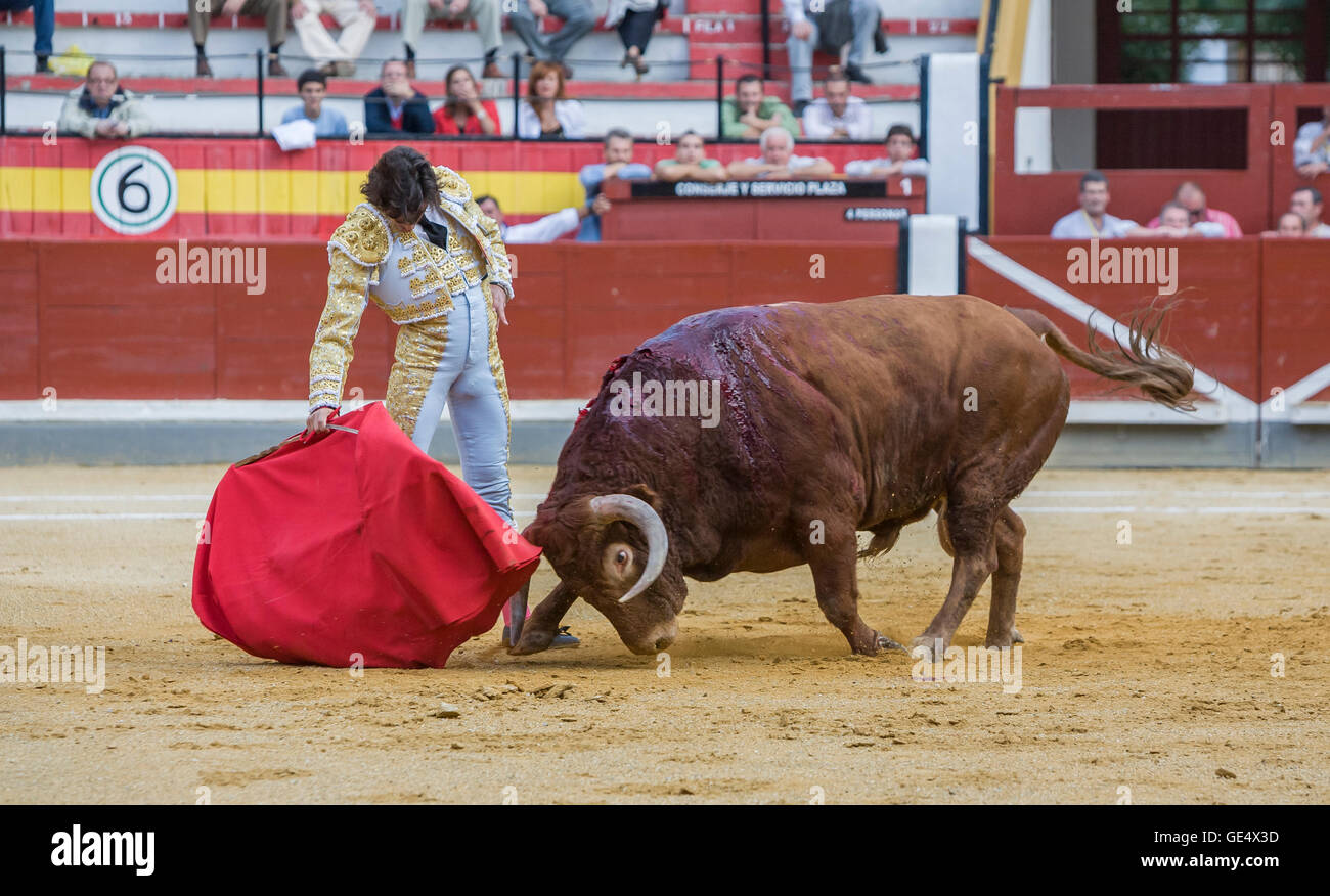 Jaen, Spanien - 17. Oktober 2008: Der spanischen Stierkämpfer Curro Diaz Stierkampf mit der Krücke in der Stierkampfarena von Jaen, Spanien Stockfoto