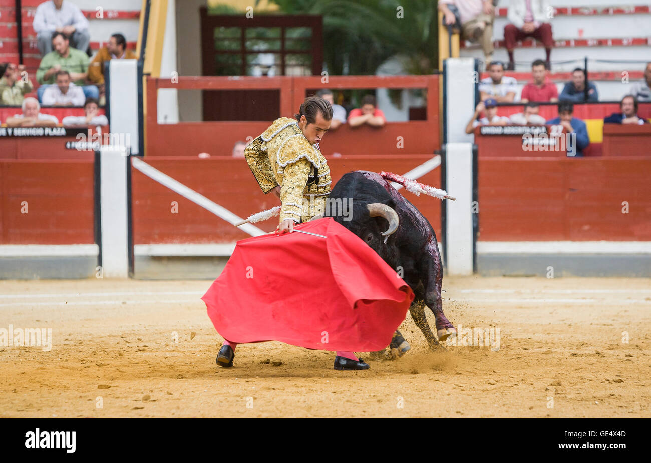 Spanischer Stierkämpfer Cesar Jimenez Stierkampf mit der Krücke in der Stierkampfarena von Jaen, Spanien Stockfoto