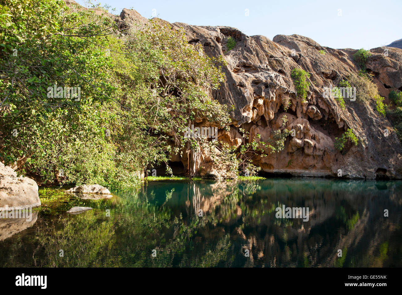 Oase in Dhofar-Gebirge Stockfoto