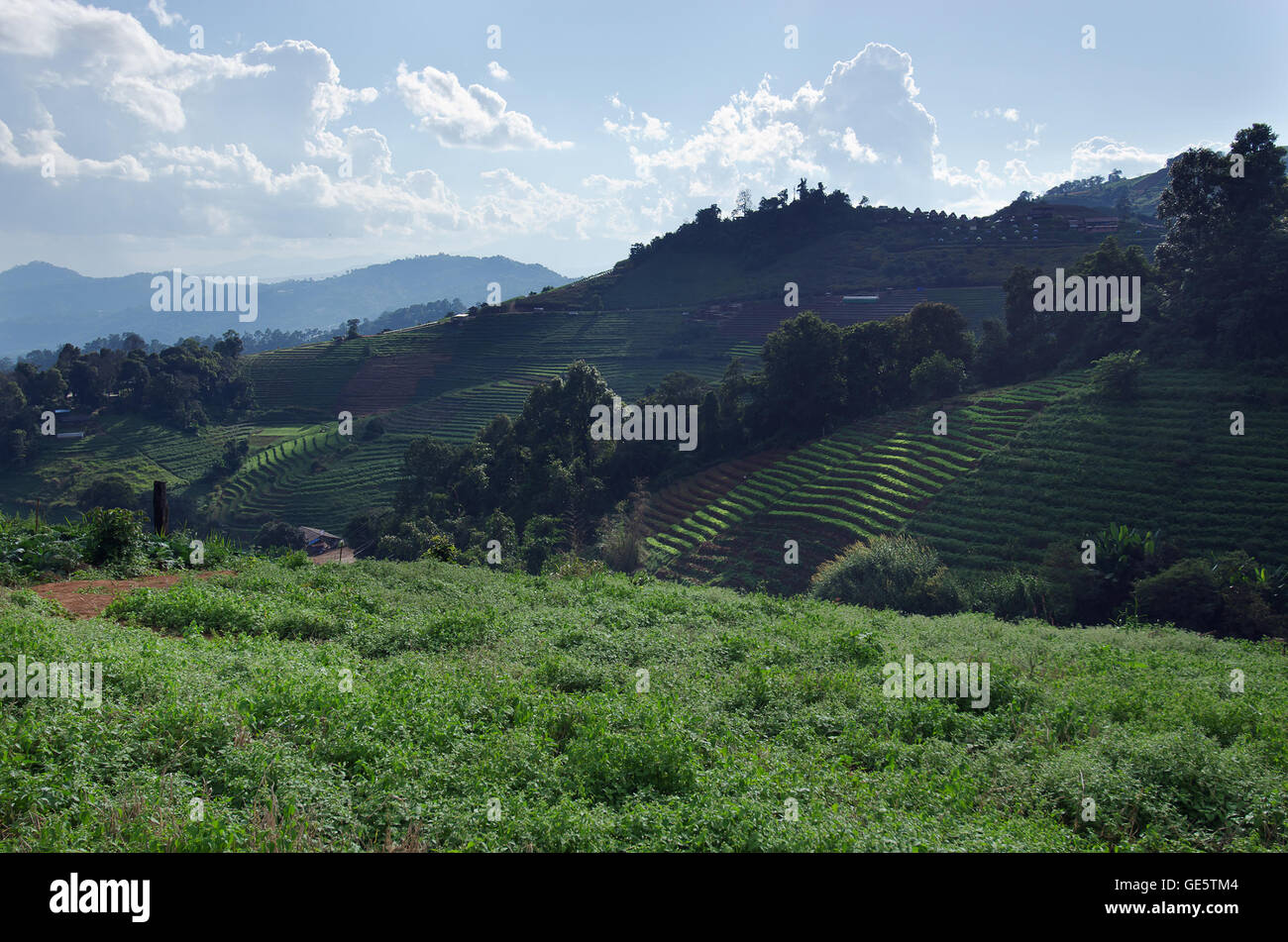 Blick auf Rasen, Berg und blauen Wolkenhimmel in Chiangmai Stadt Thailand Stockfoto