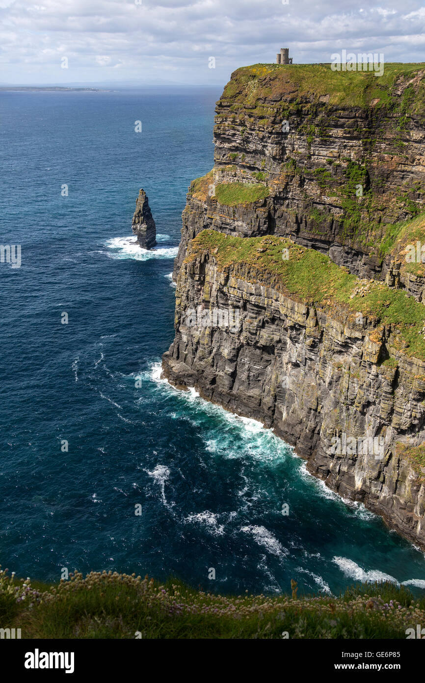 Die Klippen von Moher - befindet sich am südwestlichen Rand der Region Burren im County Clare, Irland. Stockfoto