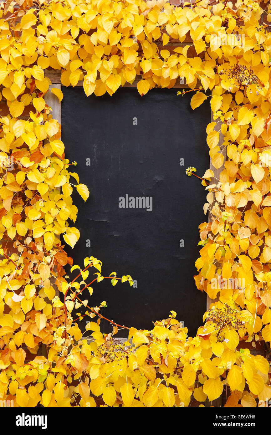 Schwarzes Brett, schreibfläche von Blättern umgeben Stockfoto