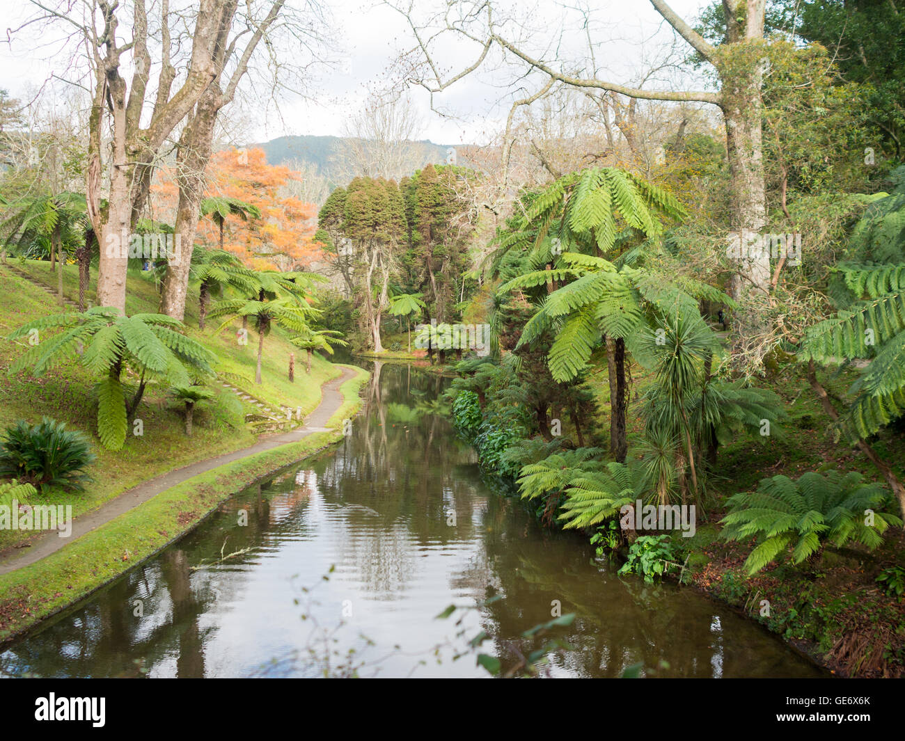 Terra Nostra Park Landschaft Stockfoto