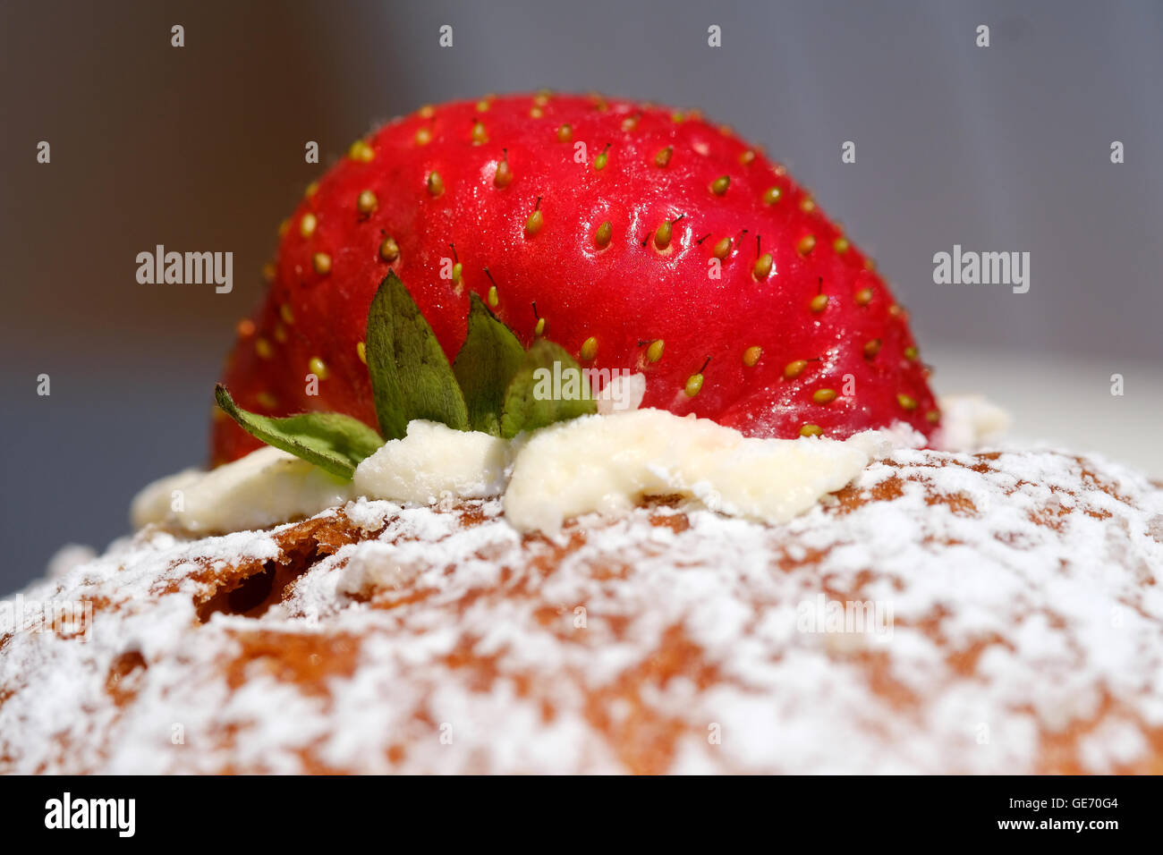 Eine Erdbeere auf eine frische Erdbeere Sahne Biskuit Stockfoto