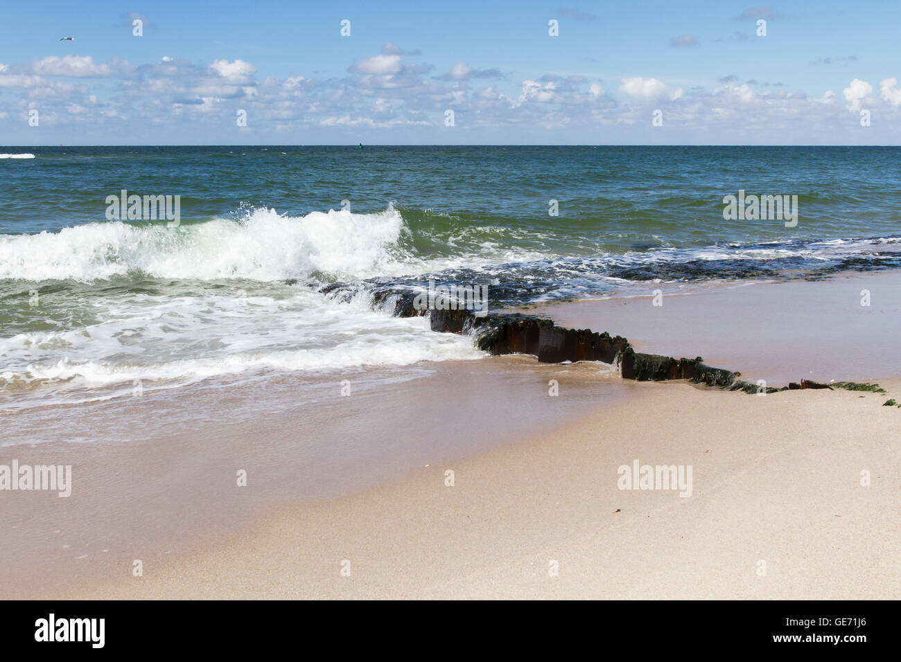 Faule Leiste am Strand von Sylt Stockfoto