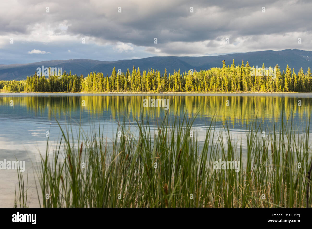 Späten Nachmittag Sonne erhöht die blauen und grünen Reflexionen und teilweise bewölkt am Nachmittag am ruhigen Boya Lake, BC Stockfoto