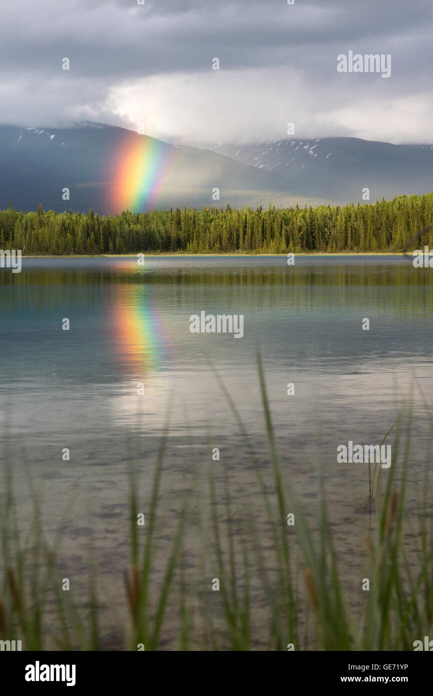 Regenbogen ergibt sich aus der Lücke in den Wolken und spiegelt sich in Boya Lake, BC Stockfoto