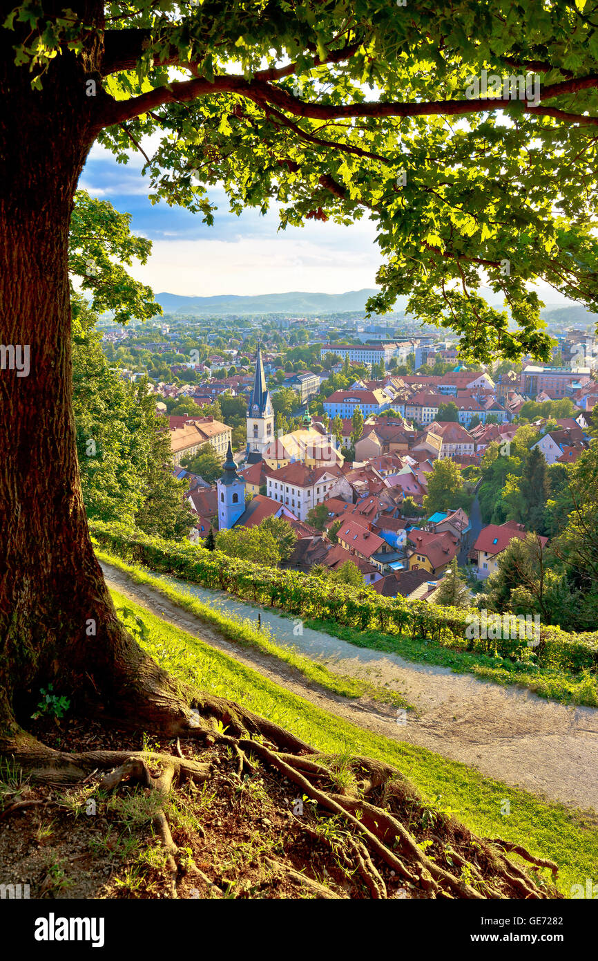 Grüne Hauptstadt Europas 2016 Ljubljana vertikale Luftbild mit Baum, Slowenien Stockfoto