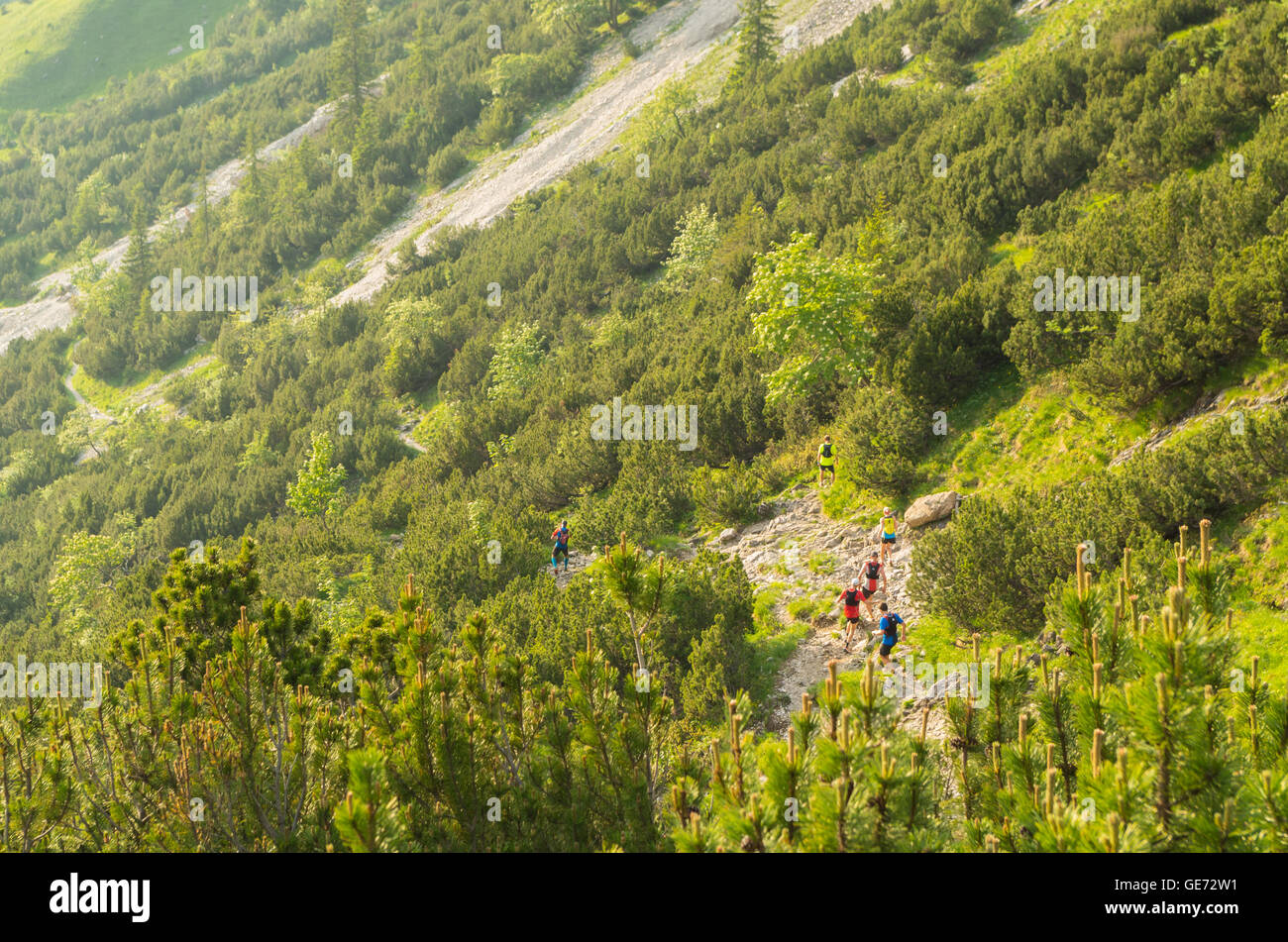 Trailrunning-Gruppe von Männern in den Bergen des Allgäu, Deutschland Stockfoto