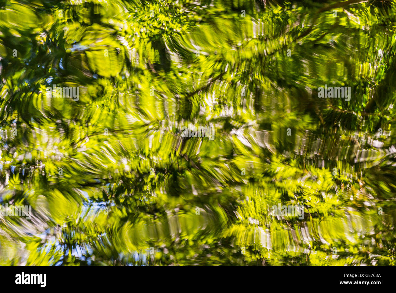 Bäume spiegeln sich in Llangollen Kanal bei Ellesmere, Shropshire, England, UK. Stockfoto