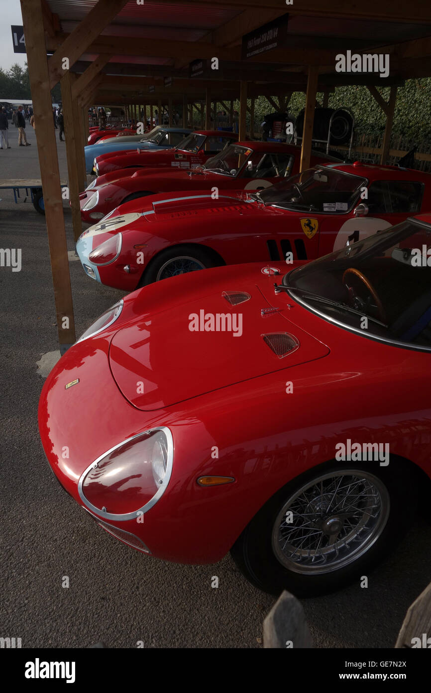 Reihe von Ferraris in goodwood Stockfoto