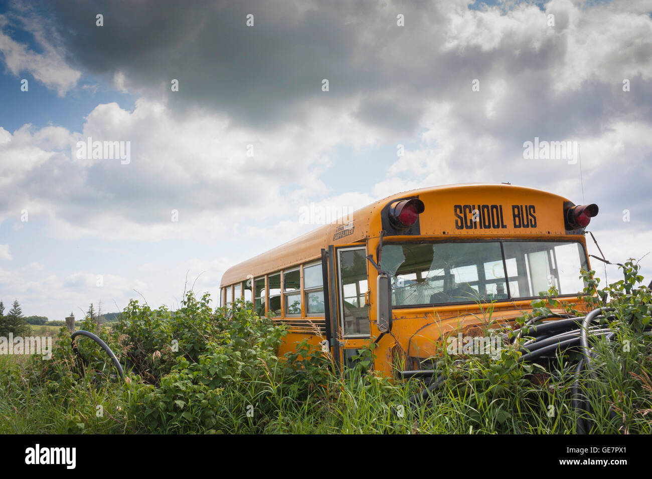 Ein verlassener und zerstörter Nordamerikaner Thomas Safet Linienbus in Saskatchewan Kanada auf einem Feld Stockfoto