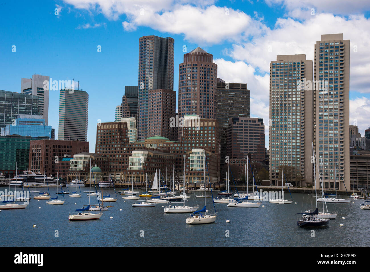 Boston Harbor Whale Watching Abenteuer Stockfoto