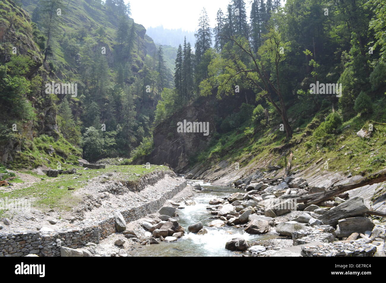 Nahm dieses Foto beim trekking im Himalaya von Sankri in Uttarkhand, Chitkul in Himacha Pradesh über den Borasu Pass. Stockfoto