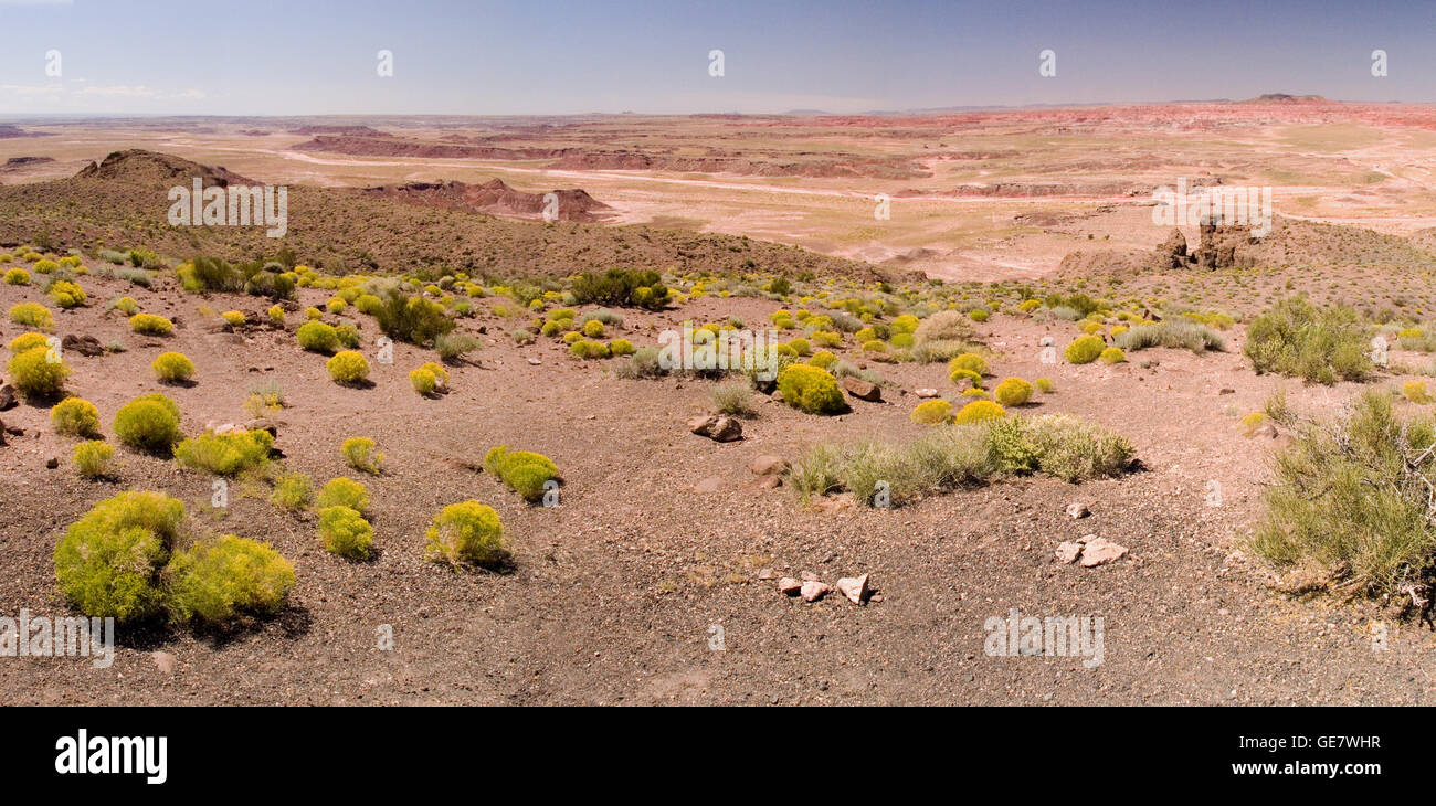 Ein Panoramablick auf die Painted Desert im Petrified Forest National Park in Arizona, USA. Stockfoto