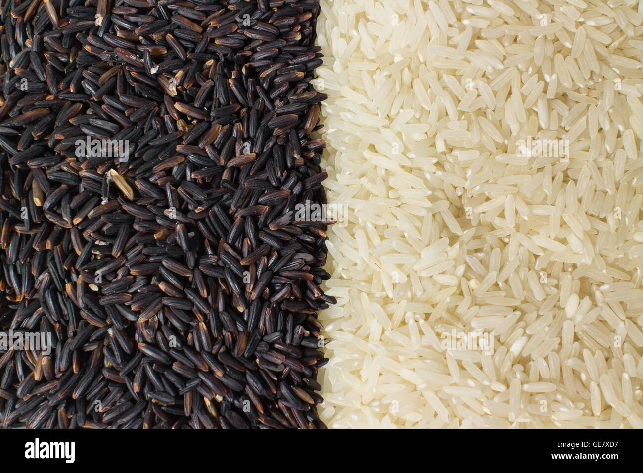 Essen-Hintergrund mit zwei Reihen von Reissorten: Berry Reis, Reis (Jasmin). Stockfoto