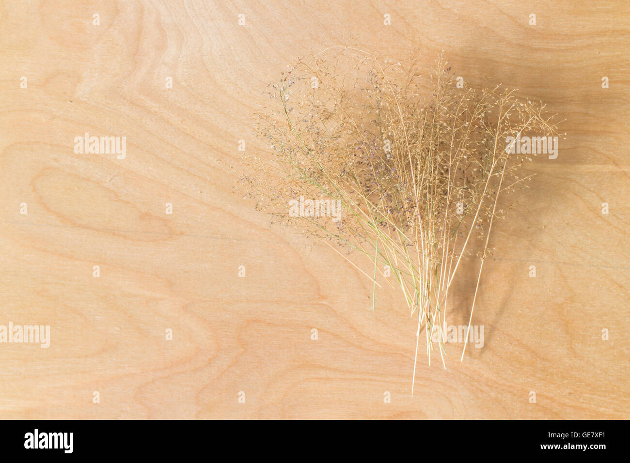 Trockenen Grases Blume auf Holz Hintergrund Stockfoto