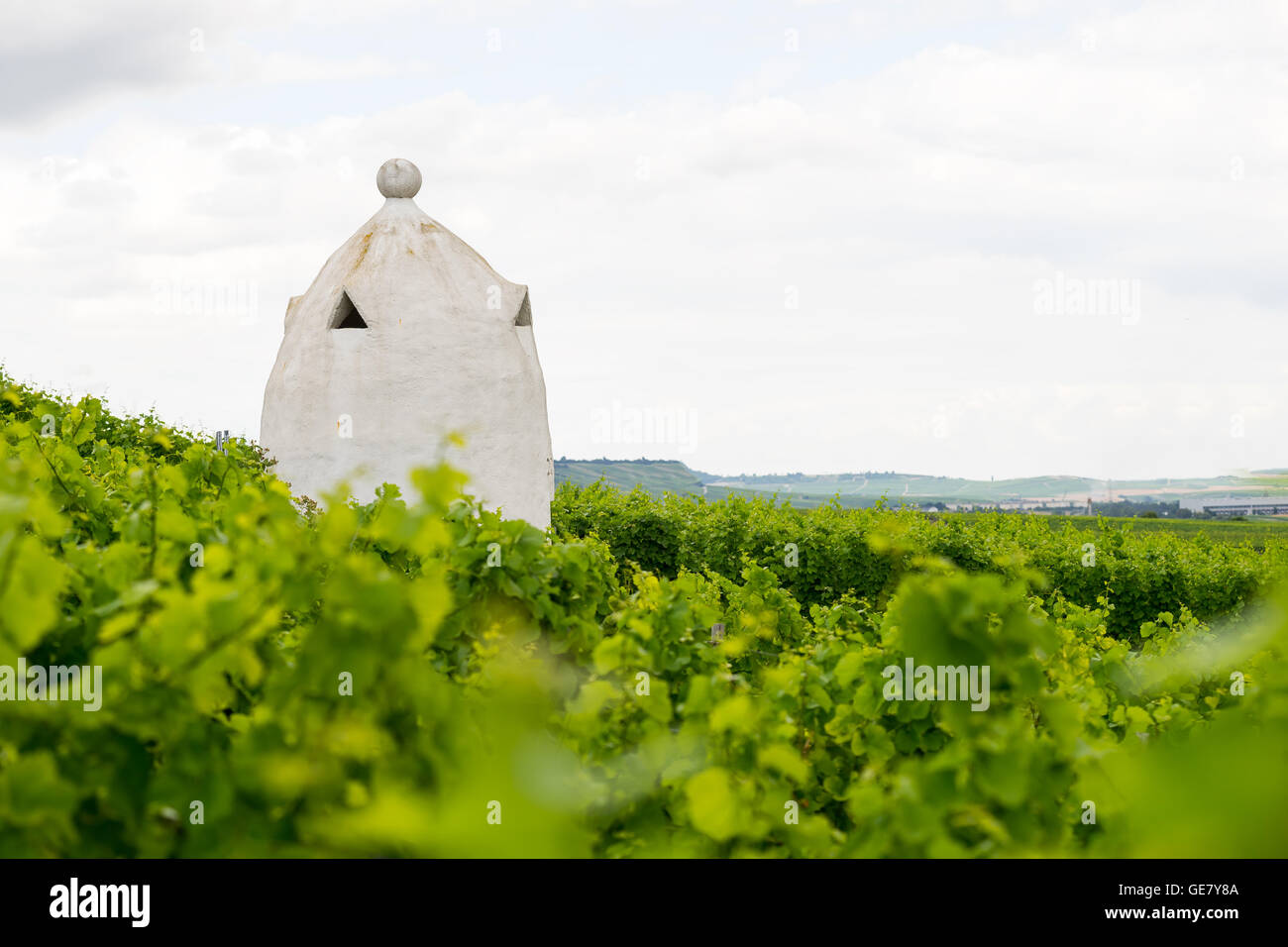 Weingut Unterschlupf im Stil einer italienischen Trullo in Rheinhessen, Deutschland, Rhein-Hessen. Stockfoto