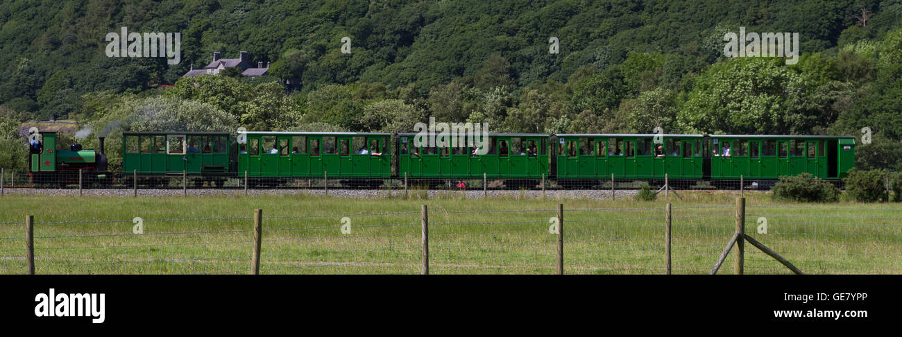 Eine saubere und gleichmäßige grünen Zug arbeitet in Llanberis auf der See-Bahn gezogen von einer Dampflokomotive Stockfoto