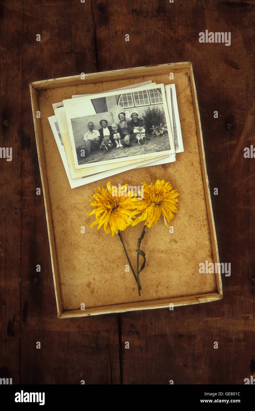 Alte Kiste mit Stapel Vintage schwarz / weiß Fotos und zwei Trockenblumen gelbe Stockfoto